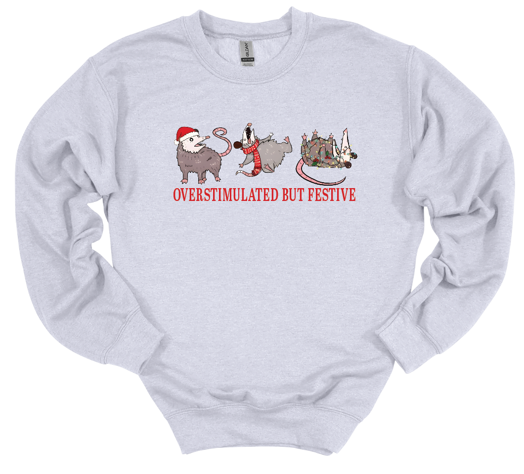 Overstimulated but Festive Opossum Crew