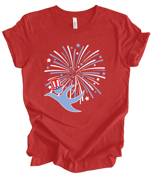 Fly To Fit - Fireworks