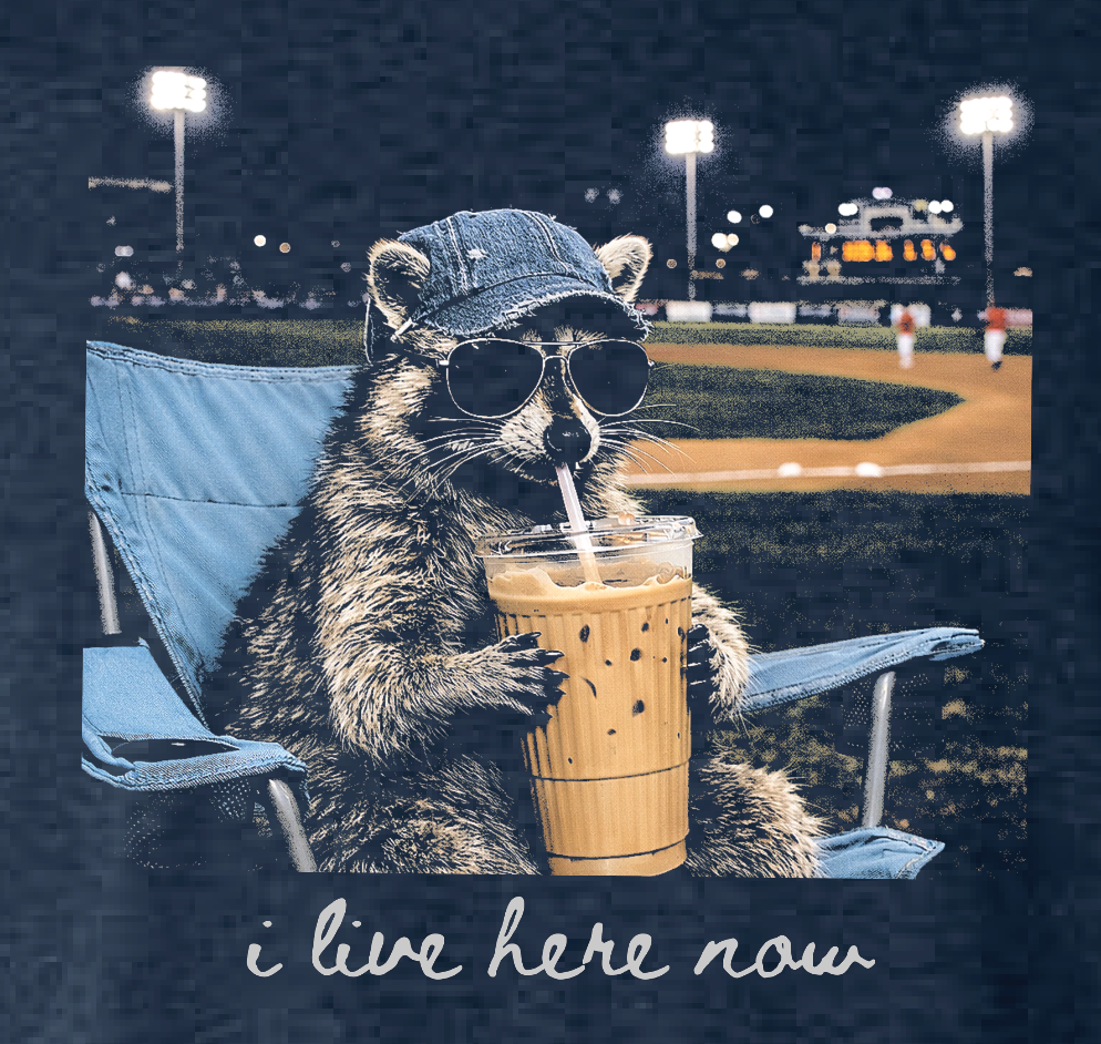 Raccoon at the Ballfield
